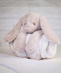 Rabbit and blanket