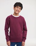 Kids Authentic Raglan Sweat