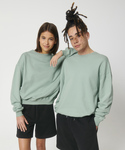 Unisex Ledger dry sweatshirt (STSU798)