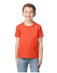 Softstyle Midweight Youth T-Shirt