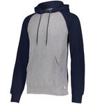 Dri-Power(r)  Fleece Color Block Hoodie