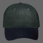 OTTO CAP 6 Panel Low Profile Baseball Cap
